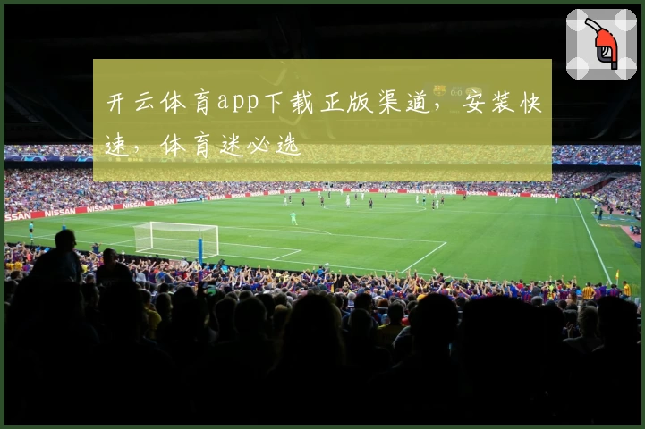 开云体育app下载正版渠道，安装快速，体育迷必选
