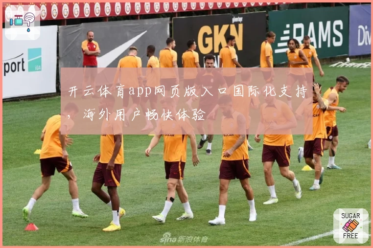 开云体育app网页版入口国际化支持，海外用户畅快体验